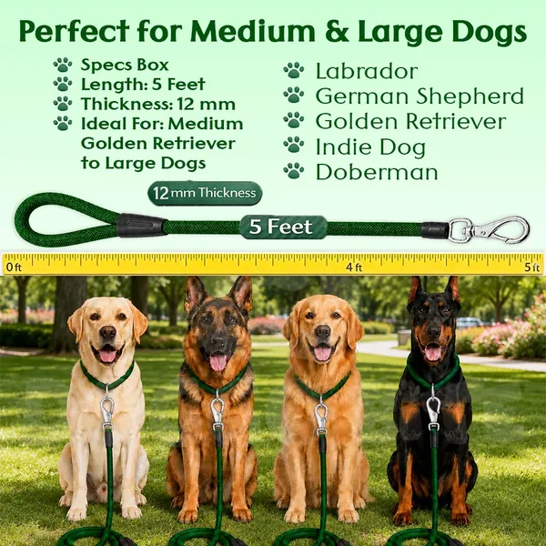 Doggo_Bite_Green_Nylon_Rope_Dog_Walking_Leash_With_Imported_Cap_Pack_Of_2