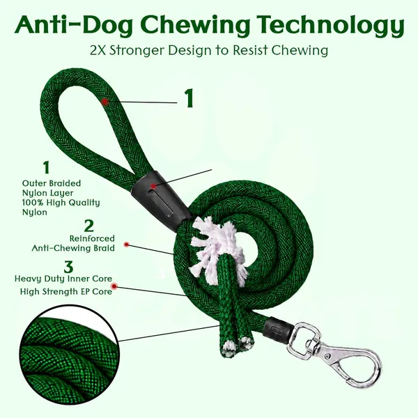 Doggo_Bite_Green_Nylon_Rope_Dog_Walking_Leash_With_Imported_Cap_Pack_Of_2