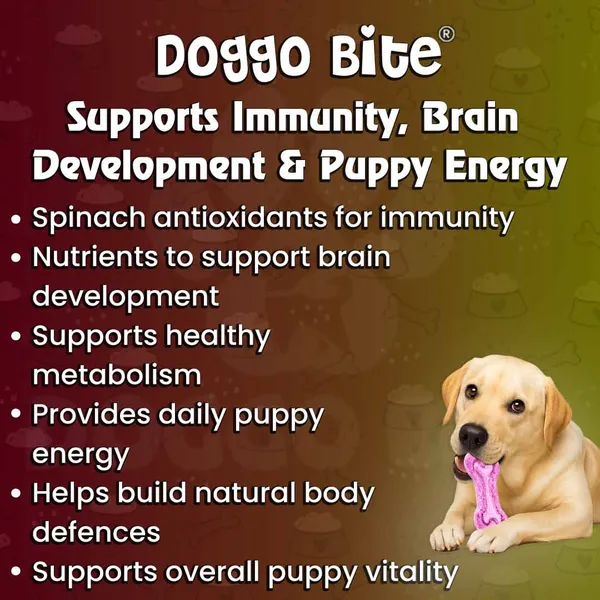 Doggo_Bite_Strawberry_Spinach_Milk_Mix_Flavor_Puppy_Biscuits_900_Gm