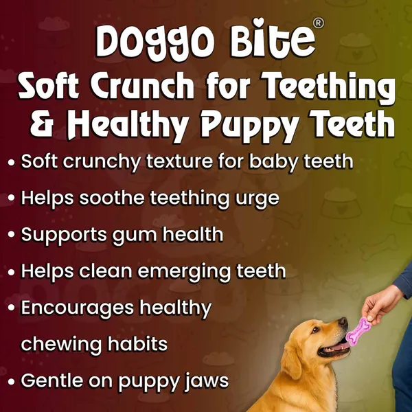 Doggo_Bite_Strawberry_Spinach_Milk_Mix_Flavor_Puppy_Biscuits_900_Gm