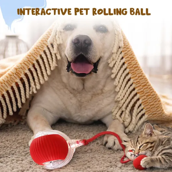 Doggo_Bite_360_Degree_Gravity_Spinner_Cat_Toy_7.5_Cm