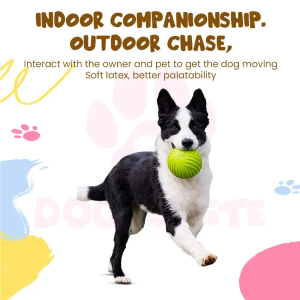 Doggo_Bite_Paw_Core_Rubber_Ball_Chew_Toy_7.5_Cm