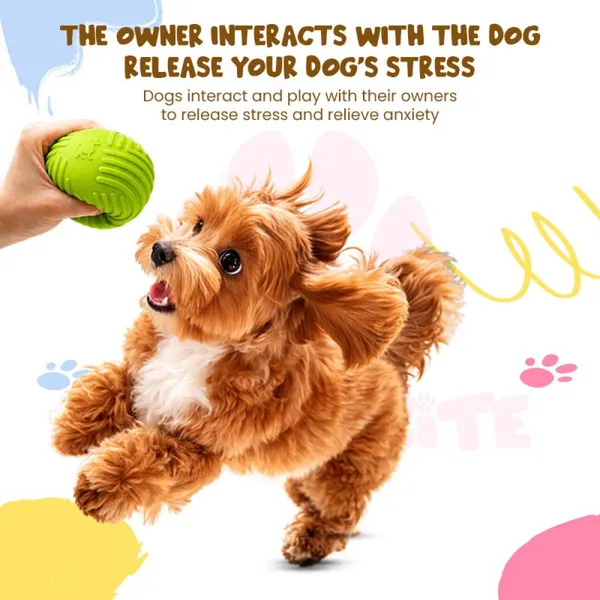 Doggo_Bite_Paw_Core_Rubber_Ball_Chew_Toy_7.5_Cm