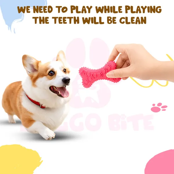 Doggo_Bite_Paw_Squeak_Bone_Rubber_Toy_12.5_Cm_For_Dogs_And_Puppies