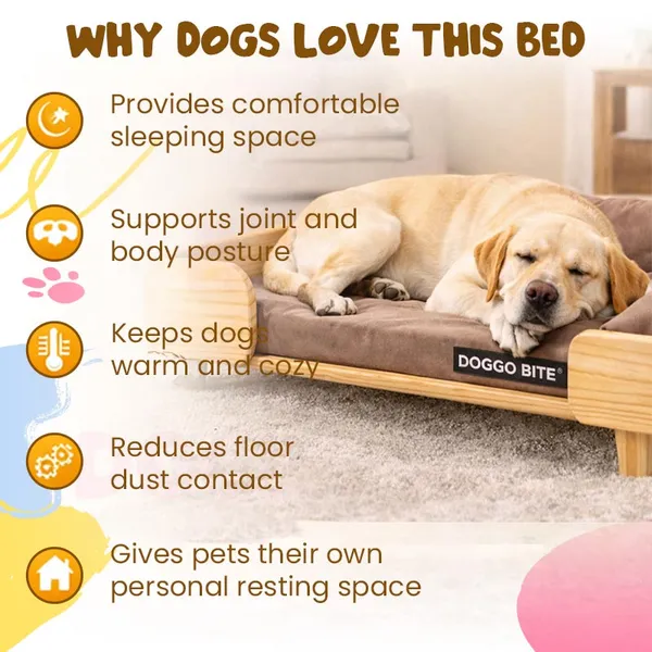 Doggo_Bite_Elevated_Wooden_Frame_Dog_Bed_Pet_Sofa