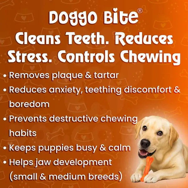 Doggo_Bite_Chicken_Barbeque_Rawhide_Chew_Bone_4_Inch_For_Small_And_Medium_Dogs