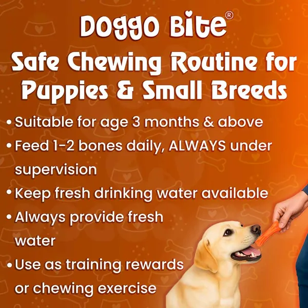 Doggo_Bite_Chicken_Barbeque_Rawhide_Chew_Bone_4_Inch_For_Small_And_Medium_Dogs