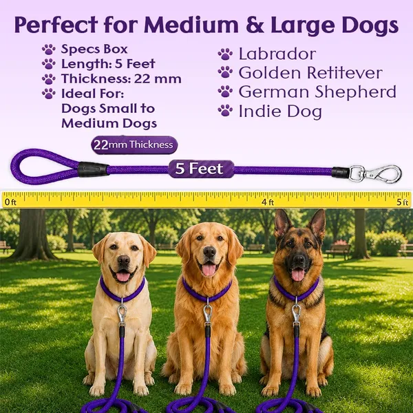 Doggo_Bite_Purple_Nylon_Rope_Dog_Walking_Leash_With_Imported_Cap_Pack_Of_2