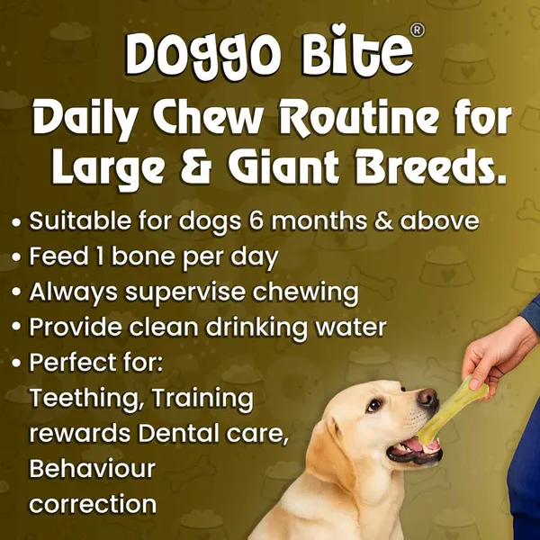 Doggo_Bite_Natural_Rawhide_Dog_Bone_10_Inch_For_Giant_Breed_Dogs