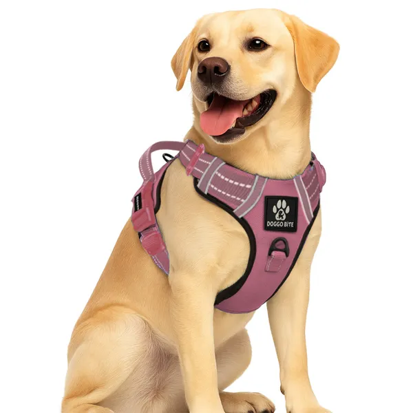 Doggo_Bite_Pink_Reflective_Vest_Dog_Harness_And_Leash_Set