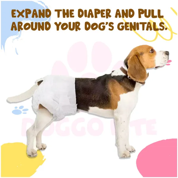 Doggo_Bite_Non_Woven_Female_Pet_Diaper_For_Dogs_And_Cats