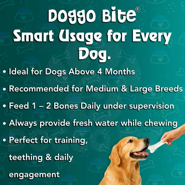 Doggo_Bite_Pressed_Rawhide_Chew_Bone_6_Inch_For_Dogs