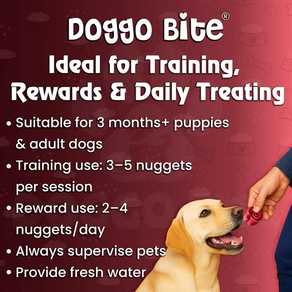 Doggo_Bite_Mutton_Flavored_Rawhide_Nuggets_Dog_Chew_Treat