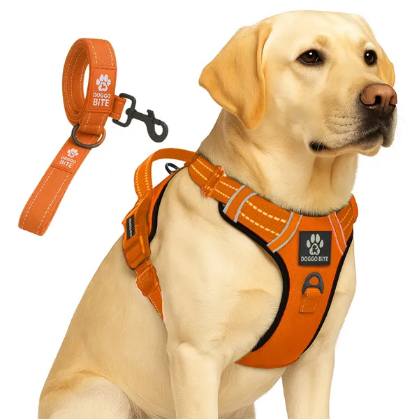 Doggo_Bite_Orange_Reflective_Vest_Dog_Harness_And_Leash_Set