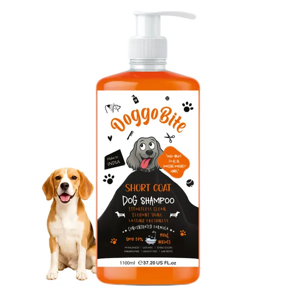 Doggo_Bite_Short_Coat_Dog_Shampoo_Regular_Grooming