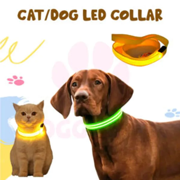 Doggo_Bite_Led_Safety_Collar_For_Dogs_And_Cats_Small