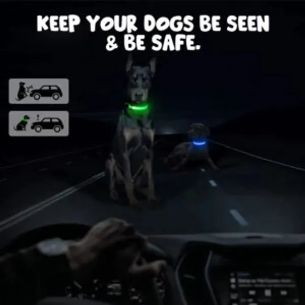 Doggo_Bite_Led_Safety_Collar_For_Dogs_And_Cats_Small