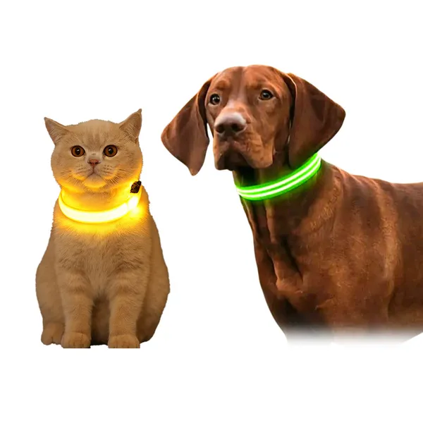 Doggo_Bite_Led_Safety_Collar_For_Dogs_And_Cats_Small