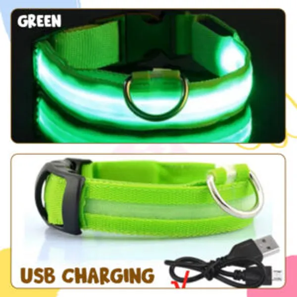 Doggo_Bite_Led_Safety_Collar_For_Dogs_And_Cats_Small