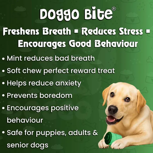 Doggo_Bite_Mint_Flavored_Rawhide_Nuggets_Dog_Chew_Treat