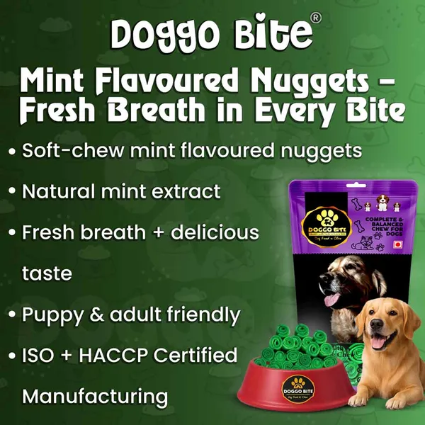 Doggo_Bite_Mint_Flavored_Rawhide_Nuggets_Dog_Chew_Treat