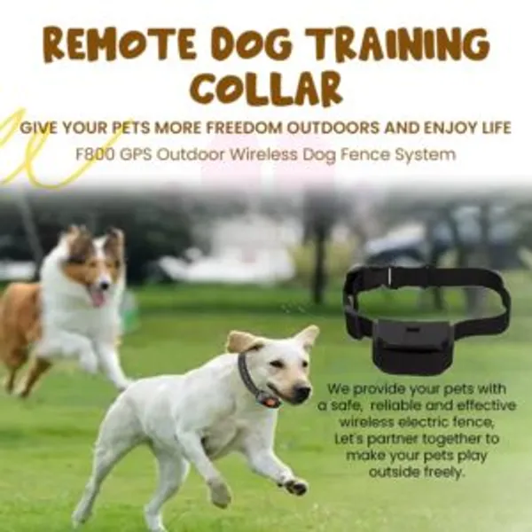 Doggo_Bite_Remote_Training_Collar_For_Dogs