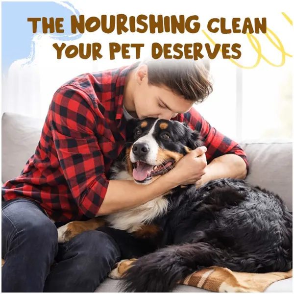 Doggo_Bite_Pet_Cleaning_Wipes_For_Dogs_And_Cats_100_Pcs