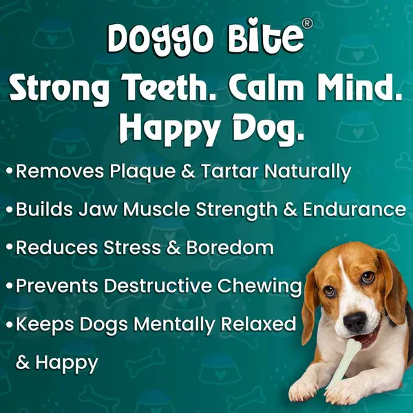 Doggo_Bite_Pressed_Rawhide_Chew_Bone_8_Inch_For_Dogs