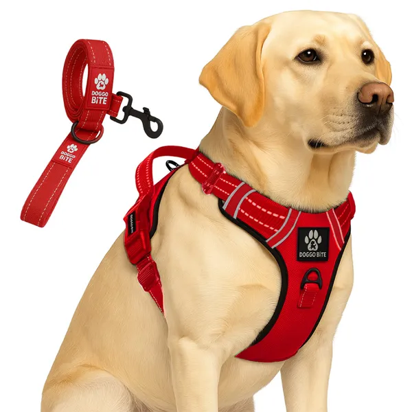 Doggo_Bite_Red_Reflective_Vest_Dog_Harness_And_Leash_Set