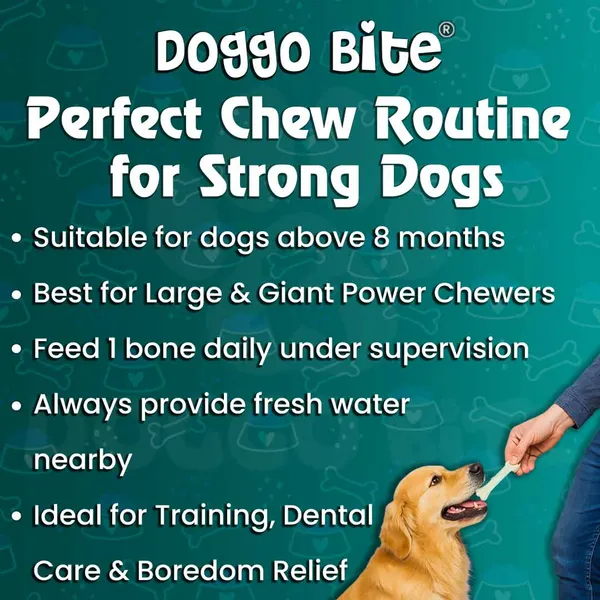 Doggo_Bite_Pressed_Rawhide_Chew_Bone_12_Inch_For_Dogs