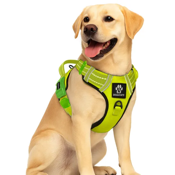 Doggo_Bite_Sky_Blue_Reflective_Vest_Dog_Harness_And_Leash_Set