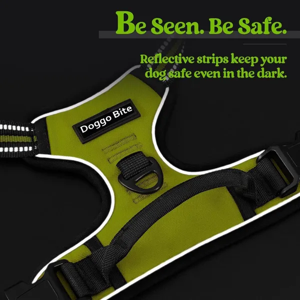 Doggo_Bite_Sky_Blue_Reflective_Vest_Dog_Harness_And_Leash_Set