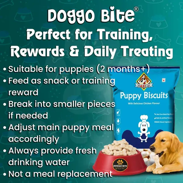 Doggo_Bite_Milk_Calcium_Flavor_Crunchy_Biscuits_For_Puppies
