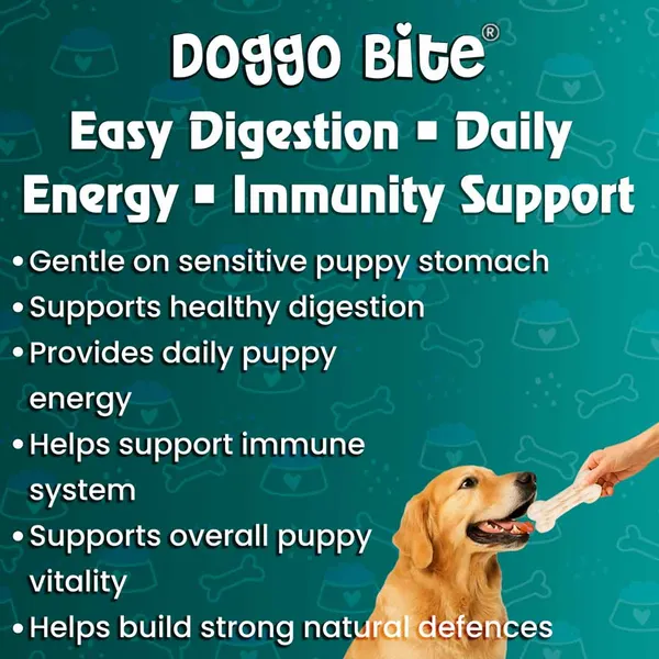 Doggo_Bite_Milk_Calcium_Flavor_Crunchy_Biscuits_For_Puppies