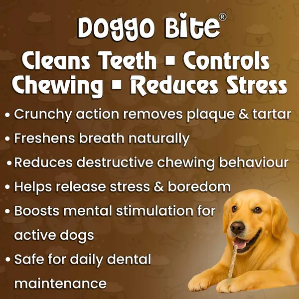 Doggo_Bite_Natural_Munchy_Rawhide_Stick_5_Inch_For_Small_And_Medium_Dogs