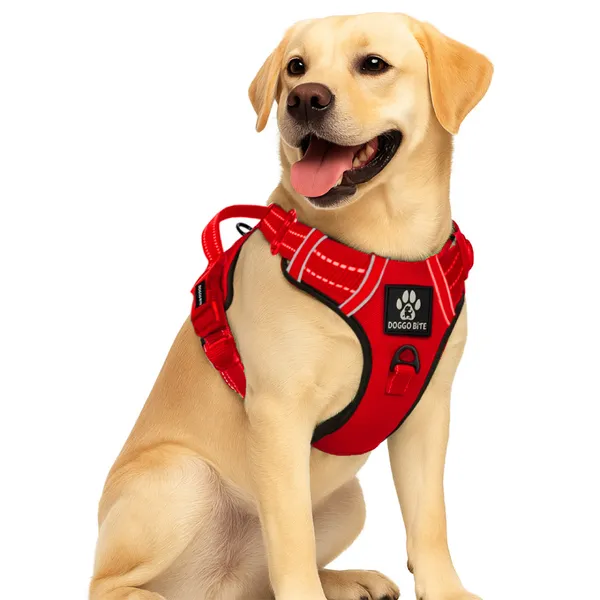 Doggo_Bite_Red_Reflective_Vest_Dog_Harness_And_Leash_Set