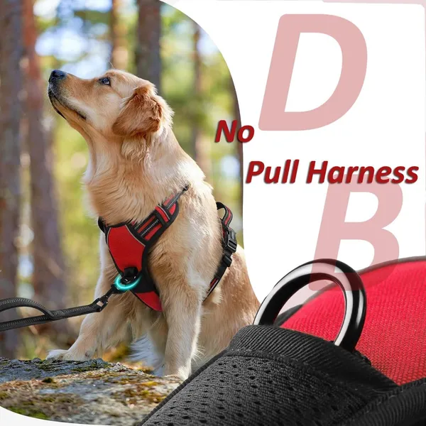 Doggo_Bite_Red_Reflective_Vest_Dog_Harness_And_Leash_Set