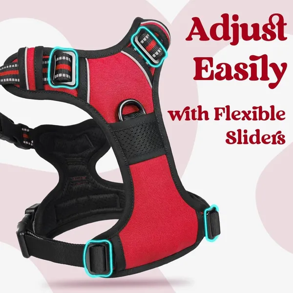 Doggo_Bite_Red_Reflective_Vest_Dog_Harness_And_Leash_Set
