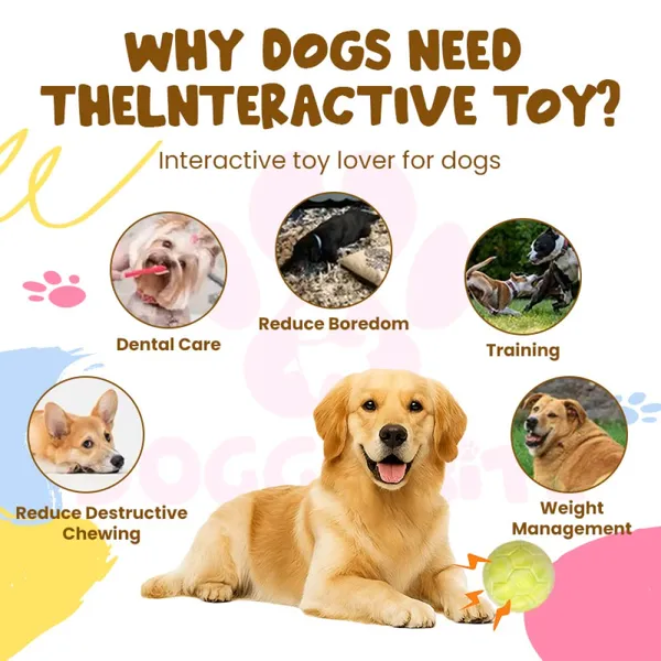 Doggo_Bite_Latex_Football_Shape_Play_Toy_For_Dogs_And_Cats