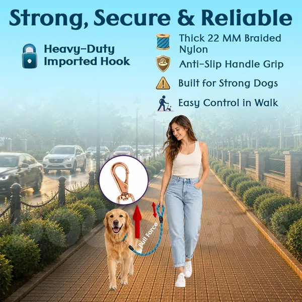 Doggo_Bite_Blue_Nylon_Rope_Dog_Walking_Leash_With_Silicone_Cap_Pack_Of_2