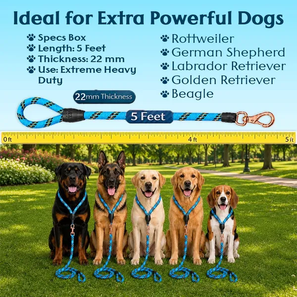 Doggo_Bite_Blue_Nylon_Rope_Dog_Walking_Leash_With_Silicone_Cap_Pack_Of_2