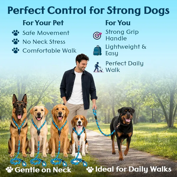 Doggo_Bite_Blue_Nylon_Rope_Dog_Walking_Leash_With_Silicone_Cap_Pack_Of_2