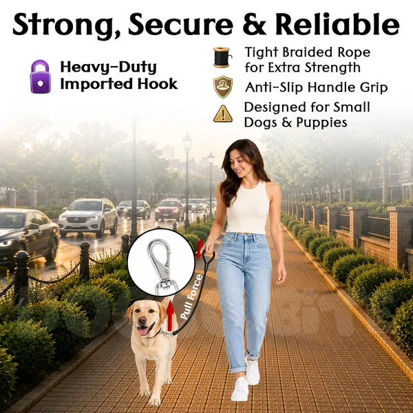 Doggo_Bite_Black_Nylon_Rope_Dog_Walking_Leash_For_Dogs_And_Puppies