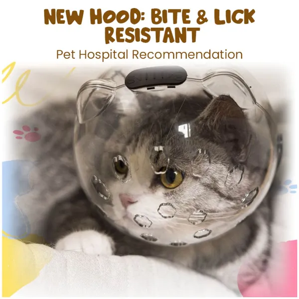 Doggo_Bite_Transparent_Ventilated_Full_Hood_Pet_Muzzle