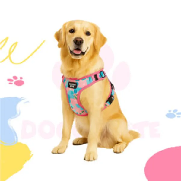 Doggo_Bite_Printed_Nylon_Fancy_Body_Harness_For_Dogs_And_Cats