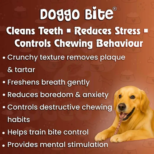 Doggo_Bite_Meat_Munchy_Rawhide_Stick_5_Inch_Dog_Treat