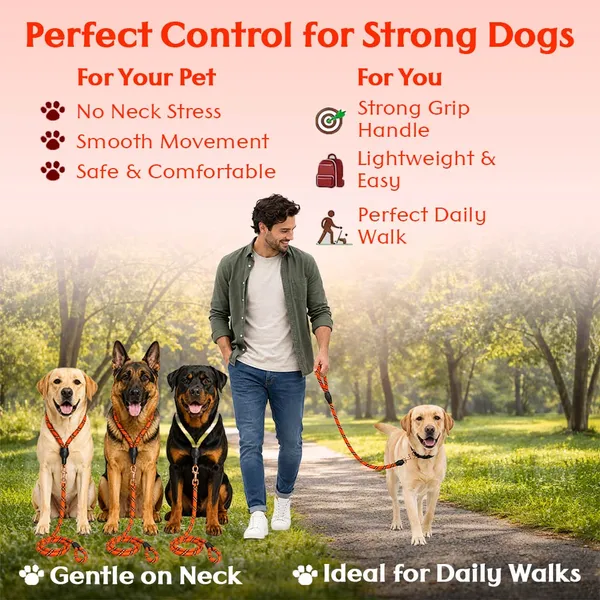 Doggo_Bite_Sunset_Orange_Nylon_Rope_Dog_Walking_Leash_With_Silicone_Cap_Pack_Of_2