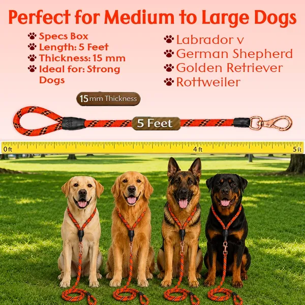 Doggo_Bite_Sunset_Orange_Nylon_Rope_Dog_Walking_Leash_With_Silicone_Cap_Pack_Of_2