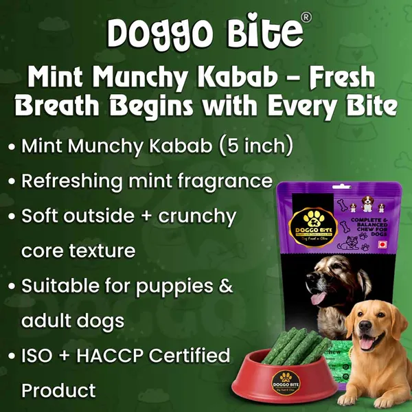 Doggo_Bite_Mint_Munchy_Kabab_Rawhide_Chew_Stick_5_Inch