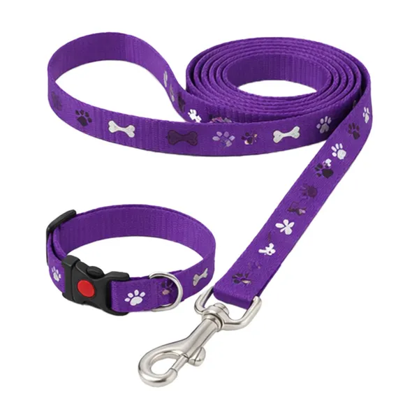 Doggo_Bite_Blue_Adjustable_Dog_Collar_And_Leash_Set_Double_Safety_Buckle